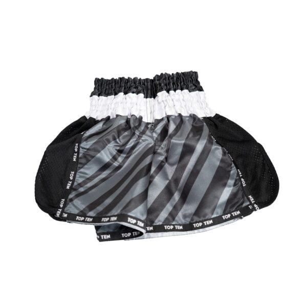 MASC Kickbox Shorts Edition I TOP TEN – Bild 2