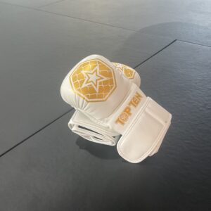 MMA Trainingshandschuhe TOP TEN